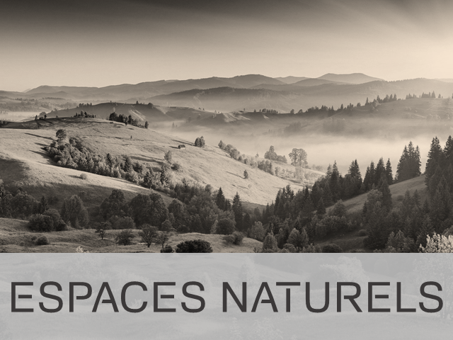 Domaine d'intervention - ESPACES NATURELS